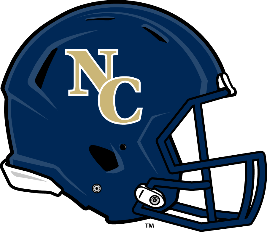 Northern Colorado Bears 2014 Helmet Logo v2 diy iron on heat transfer